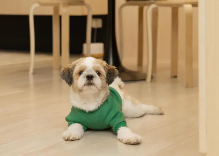 Eastwood Cozy Designer Long Friendly Walk To Mall Manila